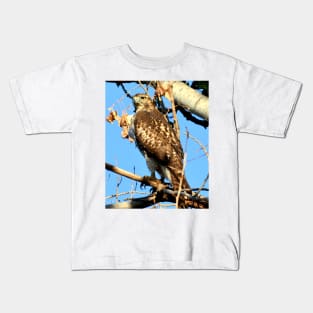 Red Tailed Hawk in Tree Kids T-Shirt